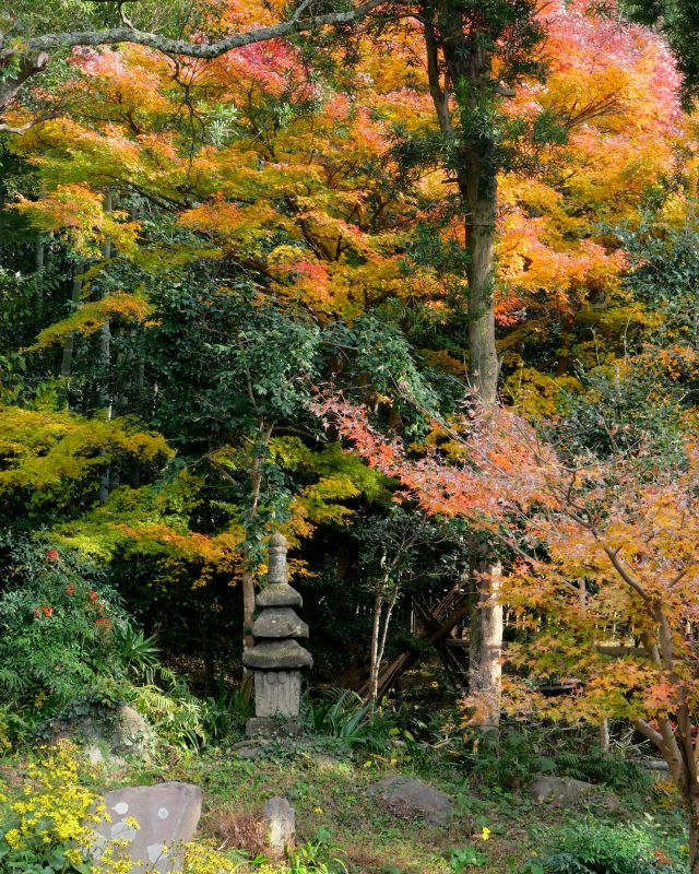 紅葉の三重石塔